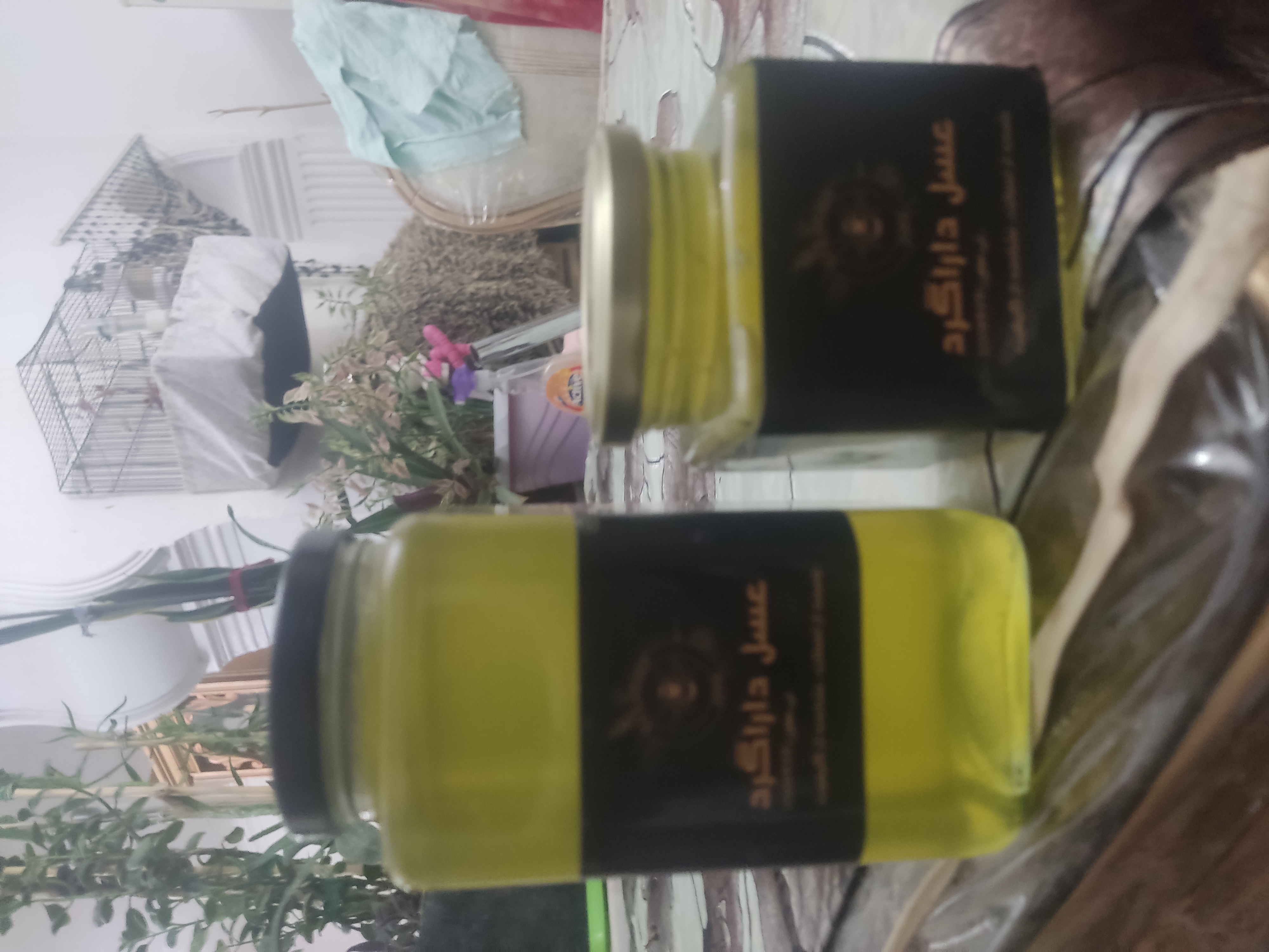 گالری پرورش زنبور عسل